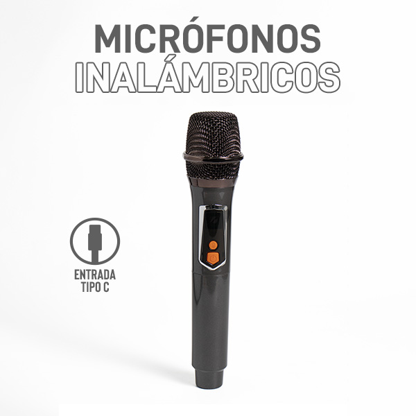 Brodu BTS-2339 Bluetooth Karaoke Speaker